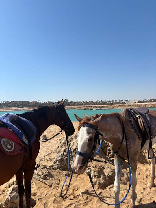 Sport & Freizeit Grand Waterworld Makadi