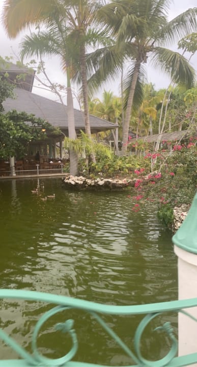 Gartenanlage Iberostar Selection Coral Bávaro