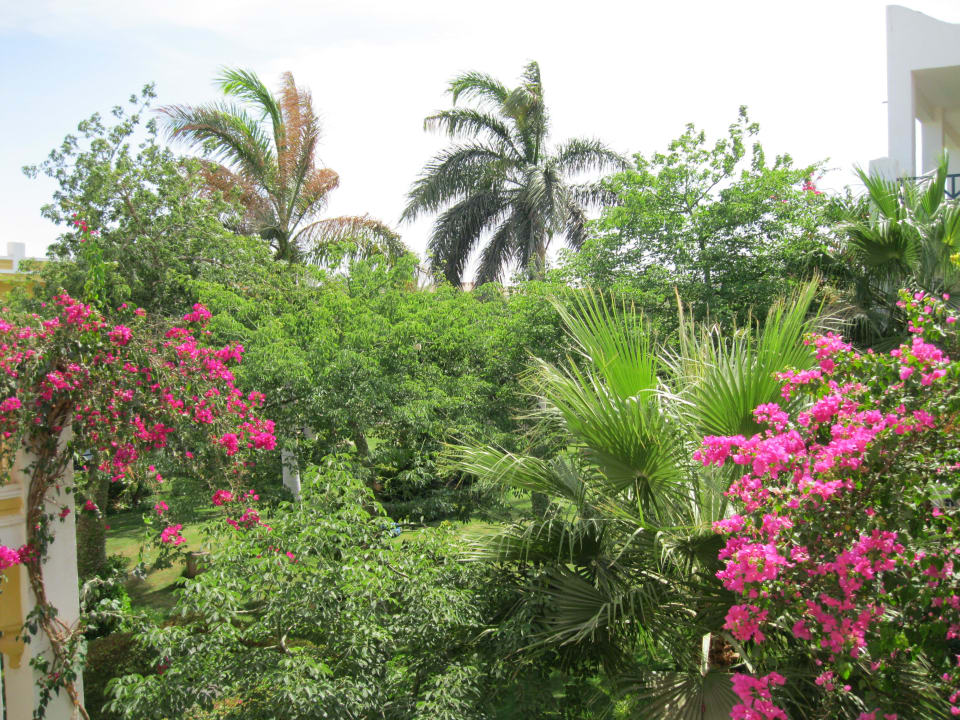 Sieht klasse aus, oder? Mirage Bay Resort & Aqua Park