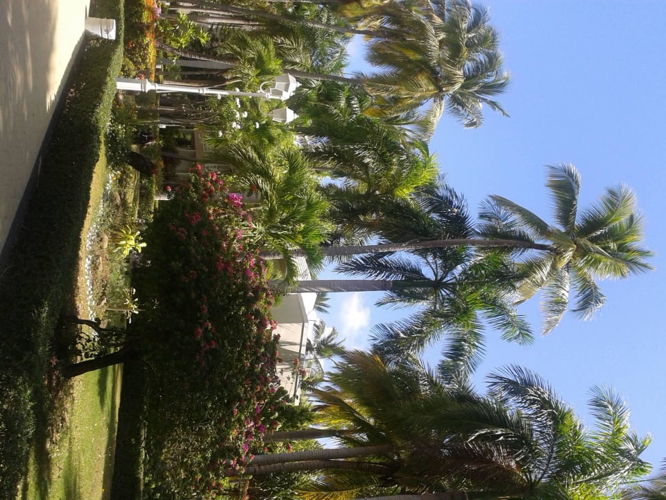 Vista Sol Vista Sol Punta Cana