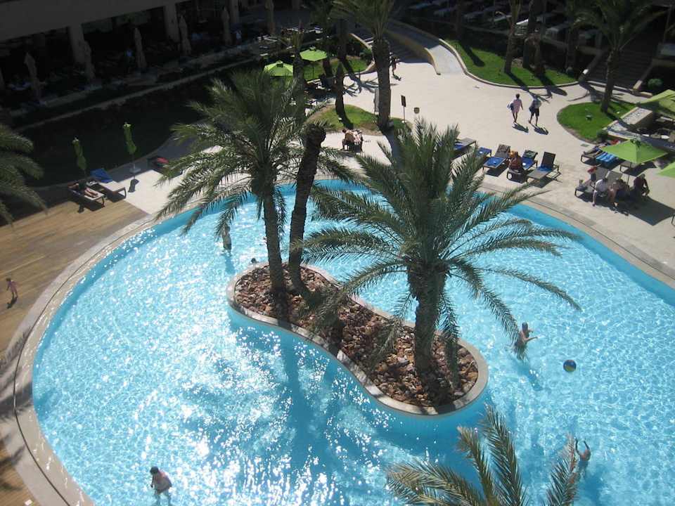Pool Hotel Rosa Beach