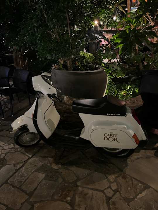 Gastro Center Parcs De Kempervennen