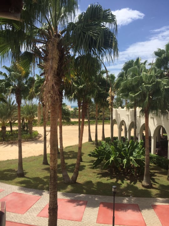 Gartenanlage Hotel Riu Karamboa
