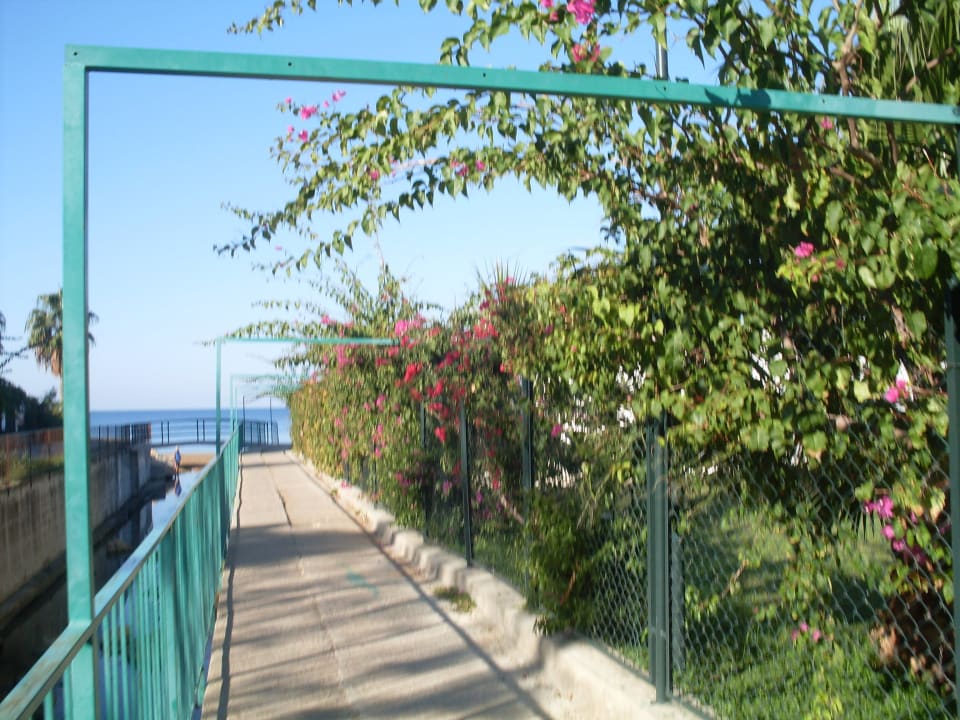 Weg zum Strand My Home Resort