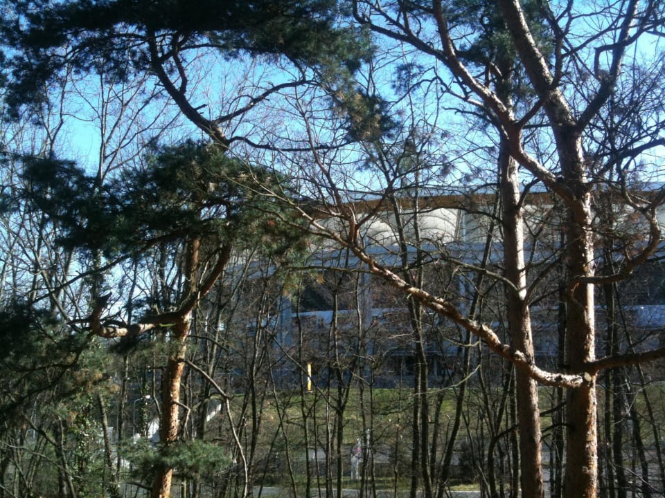 Ausblick auf die Arena Lindner Hotel Frankfurt Sportpark, part of JdV by Hyatt