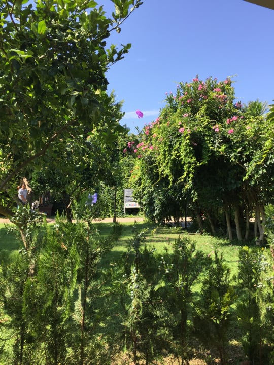 Gartenanlage Belconti Resort Hotel