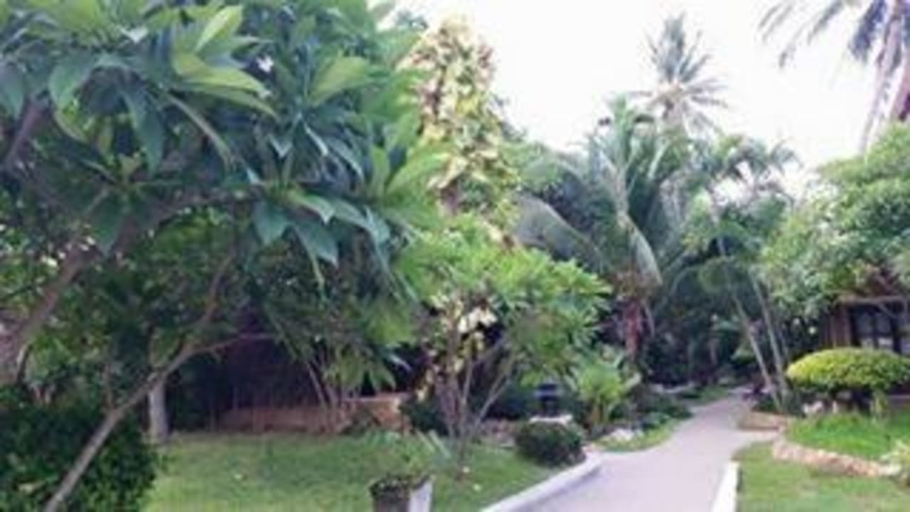 Einfach schön hier The Fair House Beach Resort