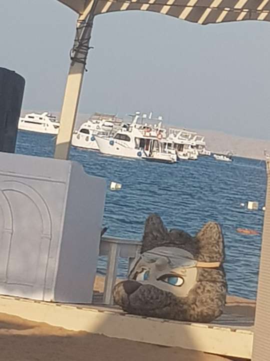 Strand The Grand Hotel Hurghada