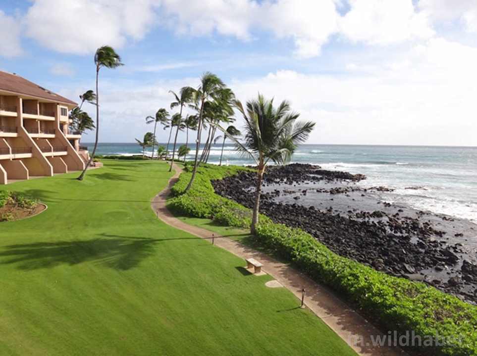 Zimmeraussicht Hotel Sheraton Kauai
