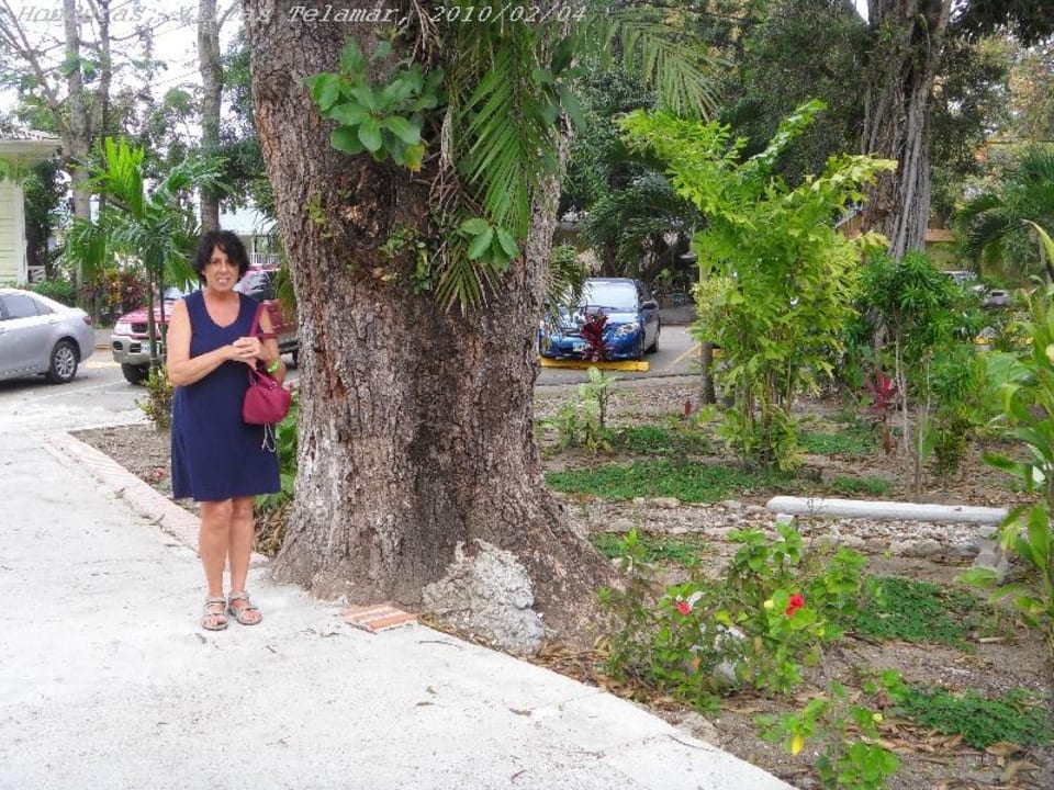 Trees Villas Telamar