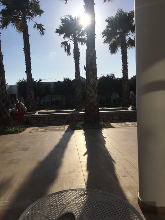 Gartenanlage Atlantica Plimmiri