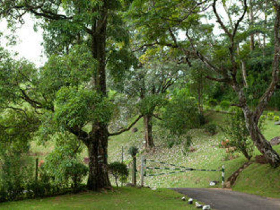 Entrance to the resort Hotel Hunas Falls by Amaya