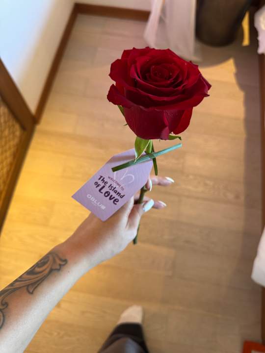 Sonstiges OBLU SELECT Lobigili