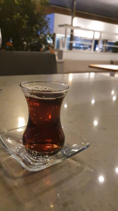 Gastro Acanthus Cennet Barut Collection