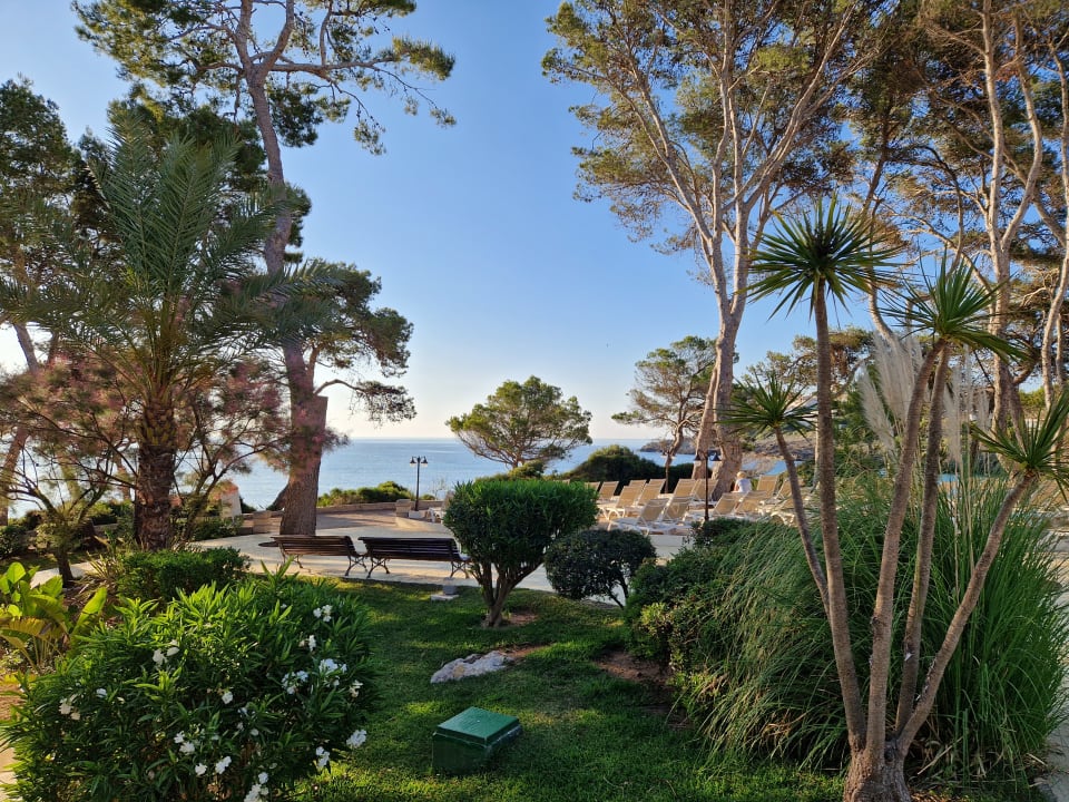 Gartenanlage Iberostar Waves Pinos Park