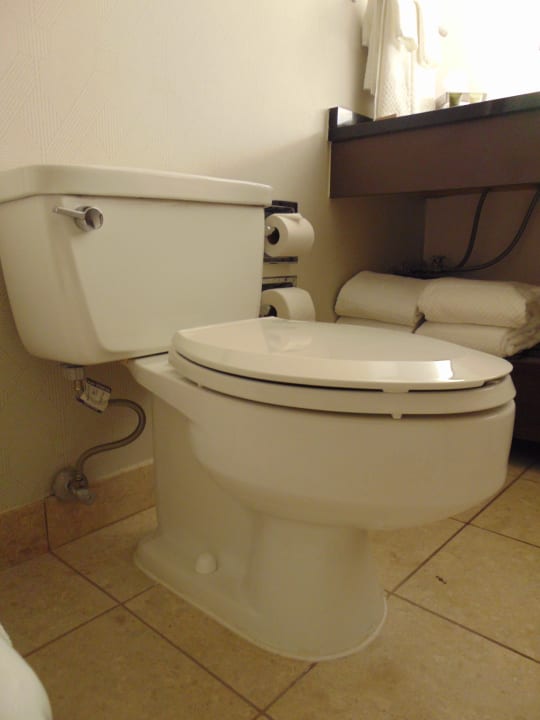 Zimmer Hotel Hilton Atlanta