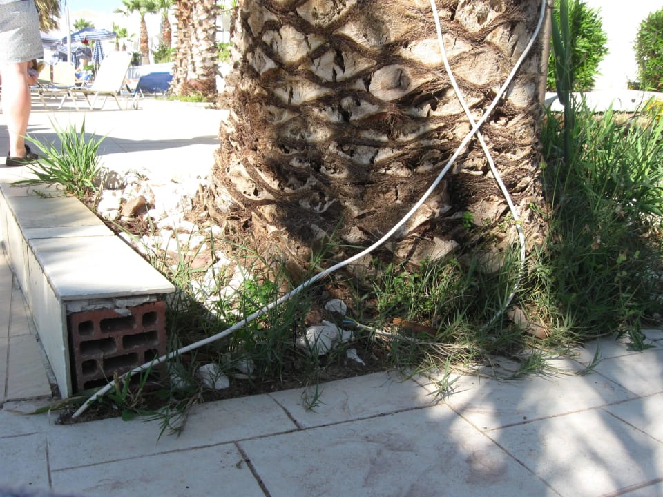 Lose Kabel am Pool  Sandy Beach Resort