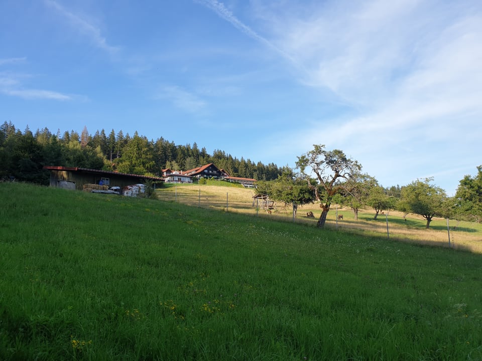 Außenansicht Berghotel Jägerhof