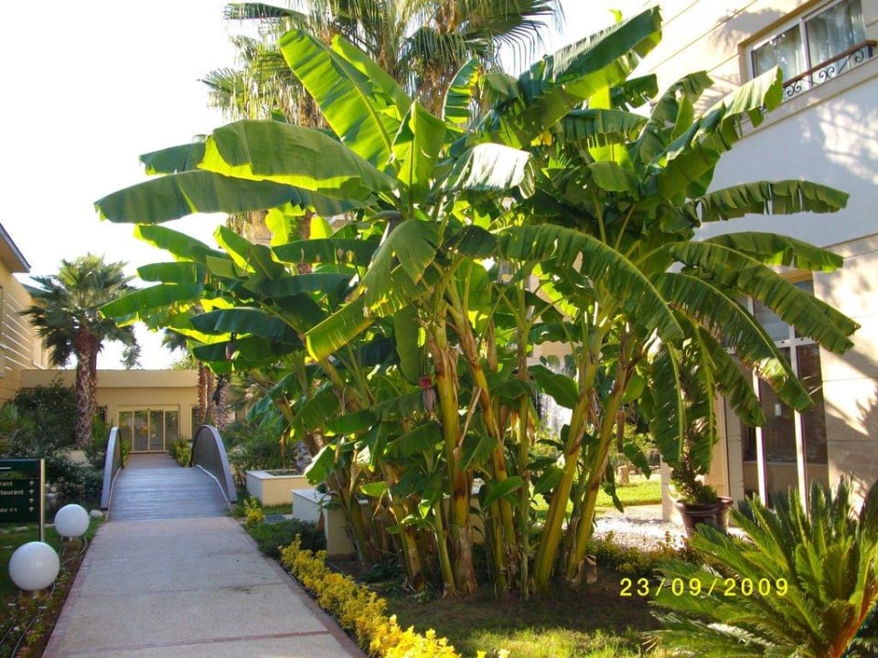 Anlage Dobedan Exclusive Hotel And Spa