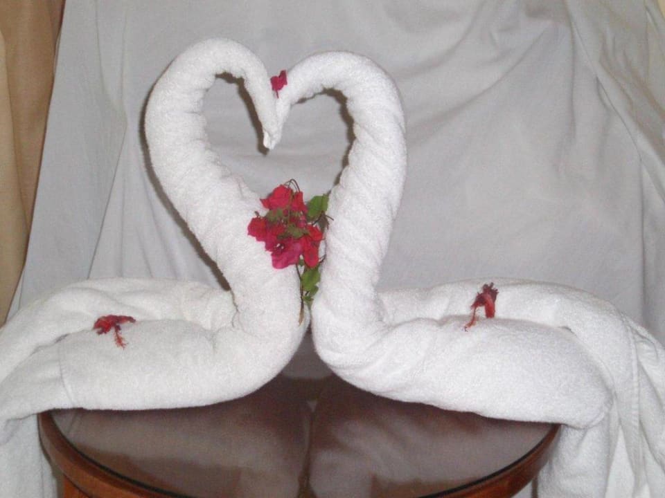 Künste der Zimmermädchen! Grand Palladium Punta Cana Resort & Spa