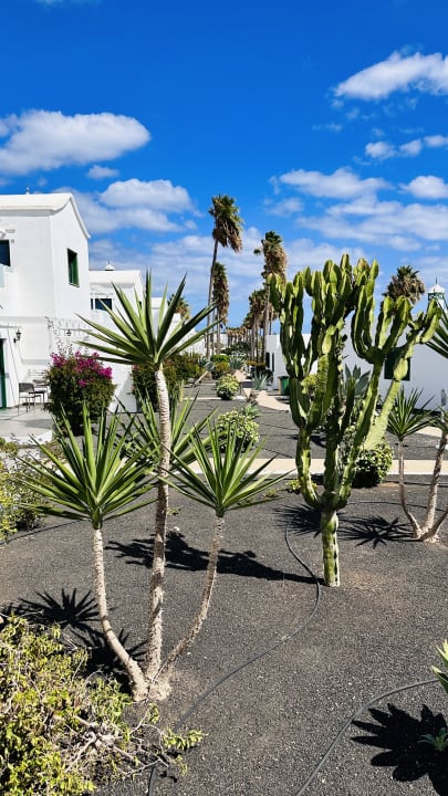 Gartenanlage Hotel Hyde Park Lane