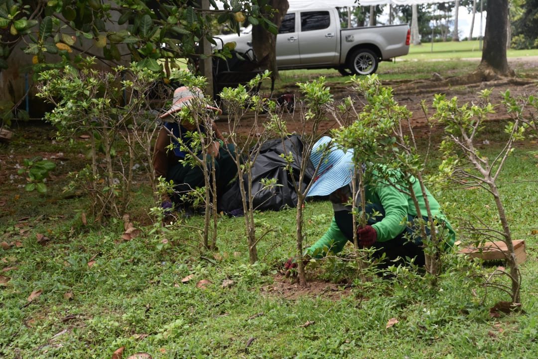 Gartenanlage Dusit Thani Krabi Beach Resort