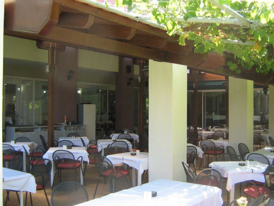 Restaurant Domes Noruz Kassandra | Adults-Only