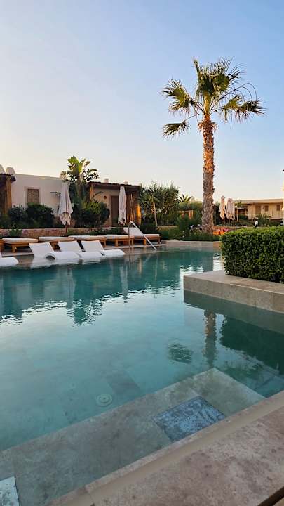 Zimmer Mitsis Rinela