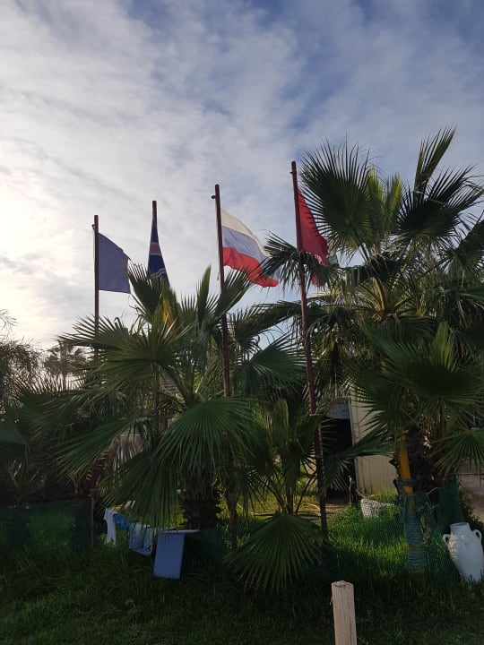 Strand Hotel Nesrine