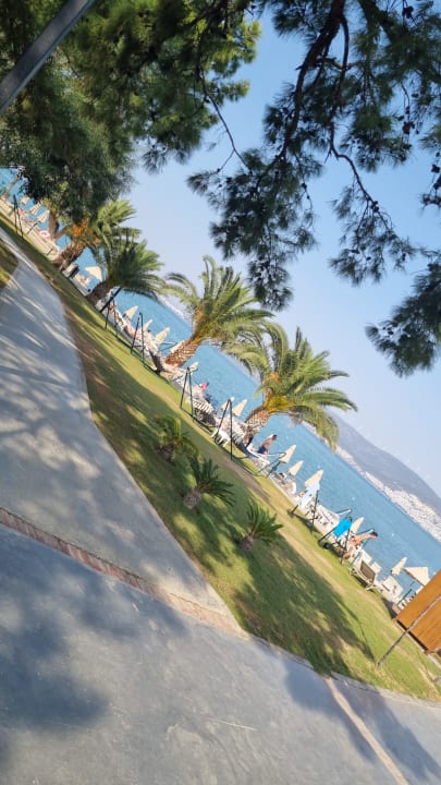 Strand Long Beach Club Nature