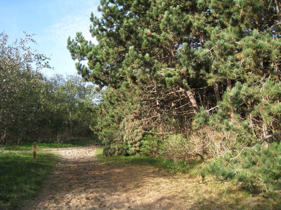 Weg zum Strand Center Parcs Park De Haan