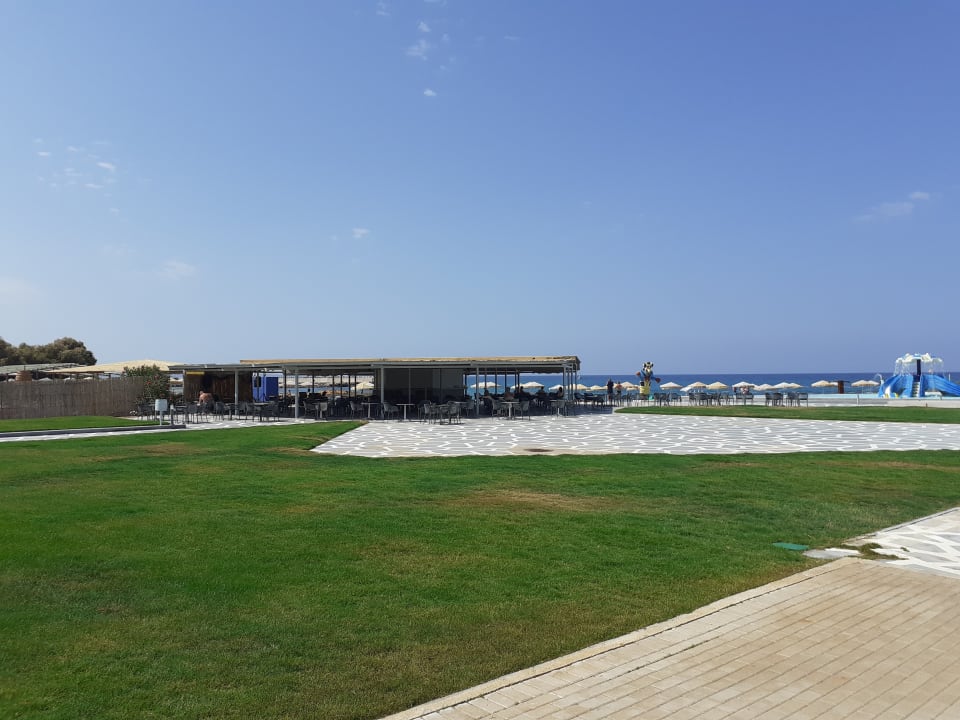 Gartenanlage allsun Hotel Carolina Mare