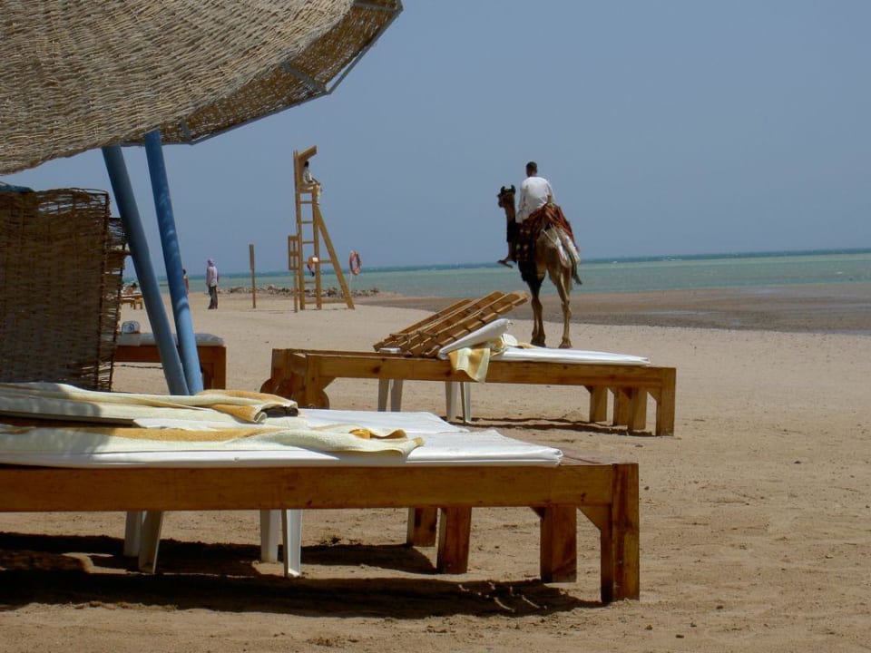 Strand Mövenpick Resort & Spa El Gouna