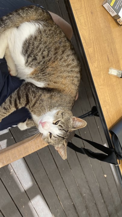 Strand Mary Hotel Side