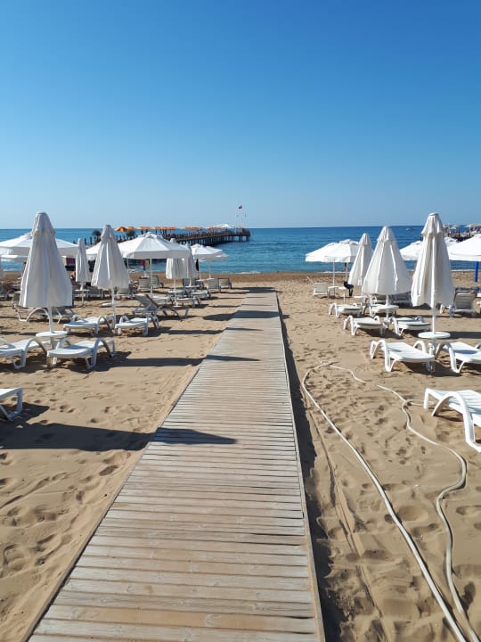 Strand Arum Barut Collection