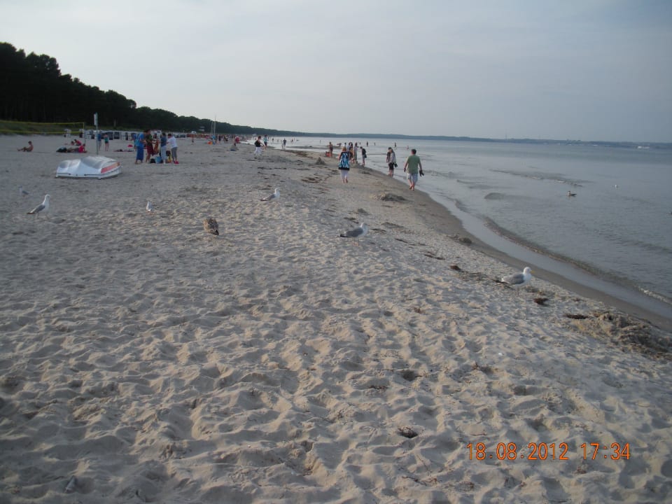 Langer Strand IFA Rügen Hotel & Ferienpark
