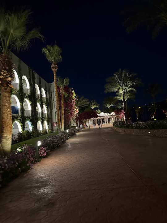 Gartenanlage Desert Rose