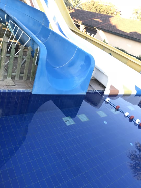 Pool Crystal Tat Beach Pearl Collection