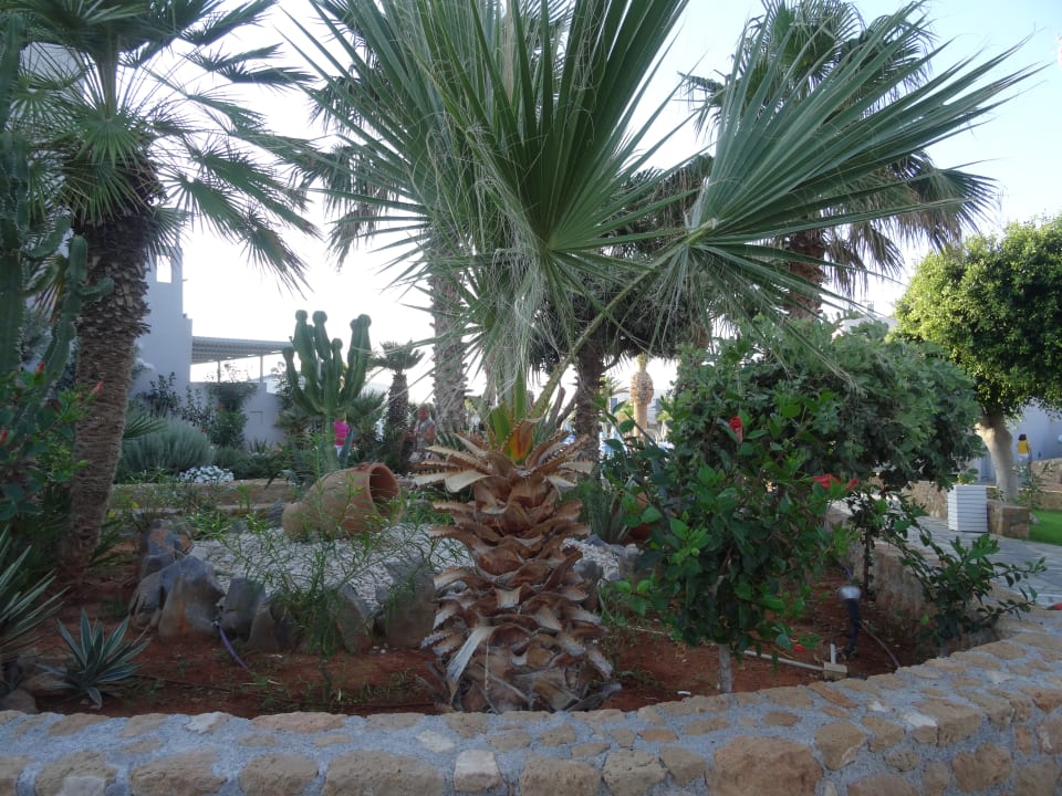Gartenanlage Lyttos Beach Hotel