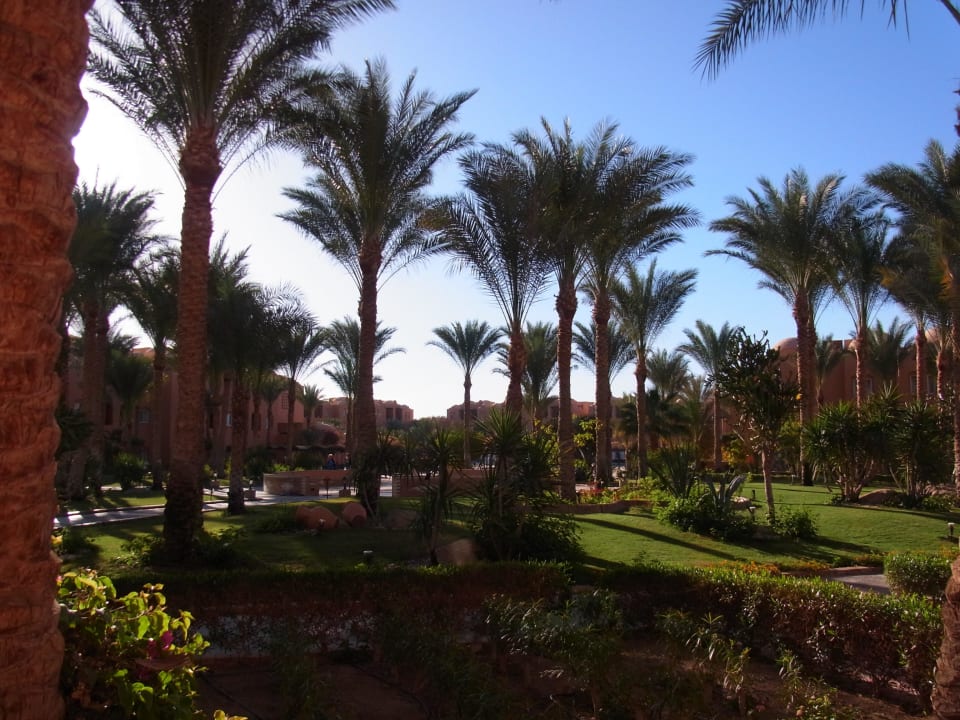 Von unserem Zimmer Jaz Makadi Oasis Resort