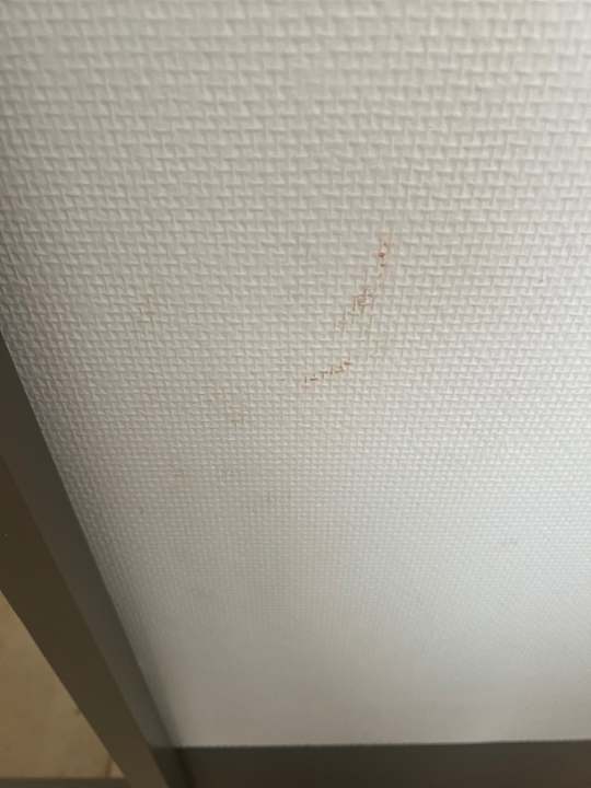 Zimmer PALOMA Perissia