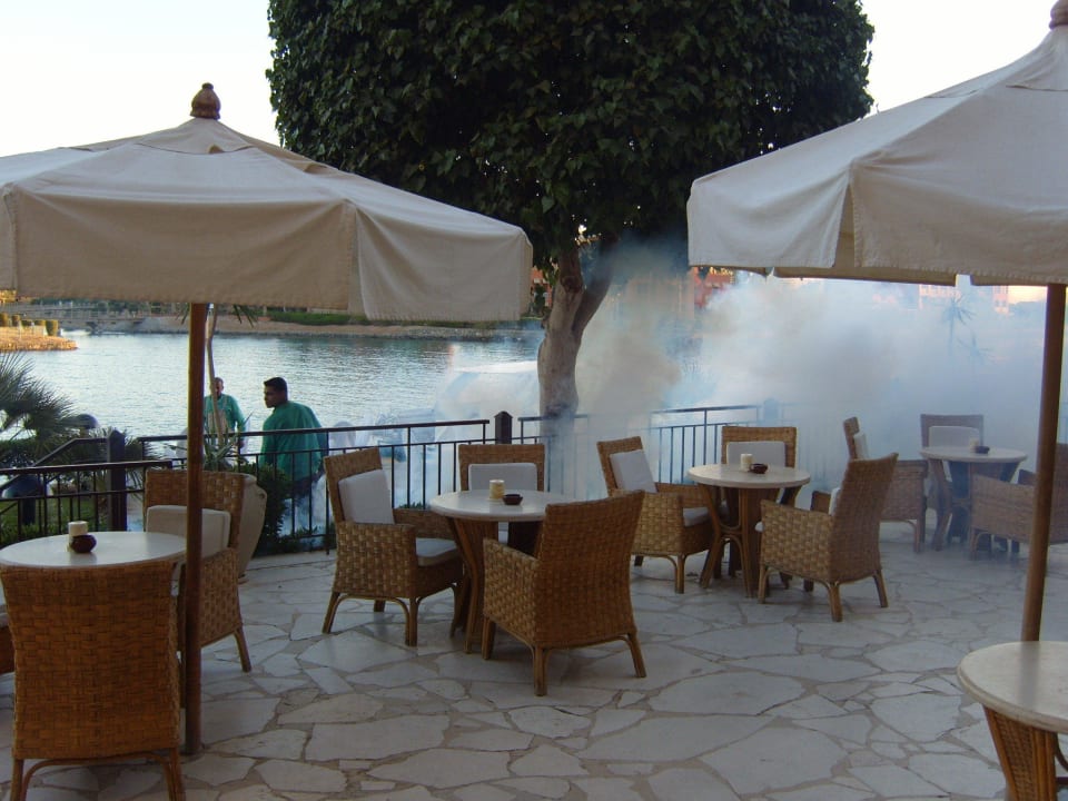 Die Mücken werden täglich "gekillt" ! Hotel Three Corners Ocean View prestige - Adults only