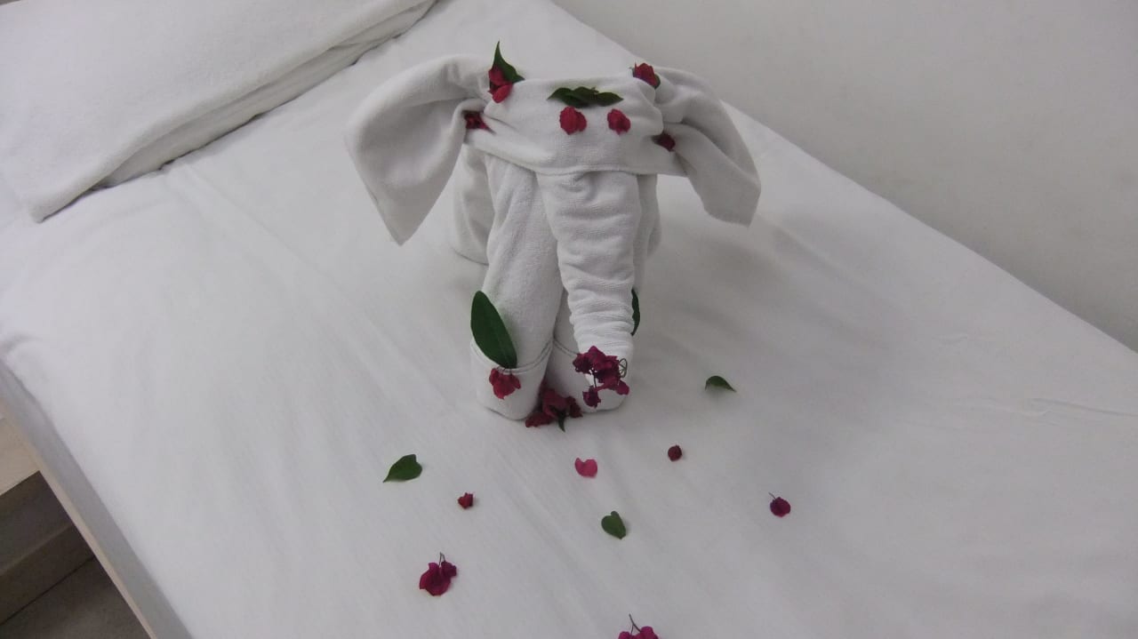 Keine Angst vor großen Tieren ! Sunis Kumköy Beach Resort Hotel & Spa