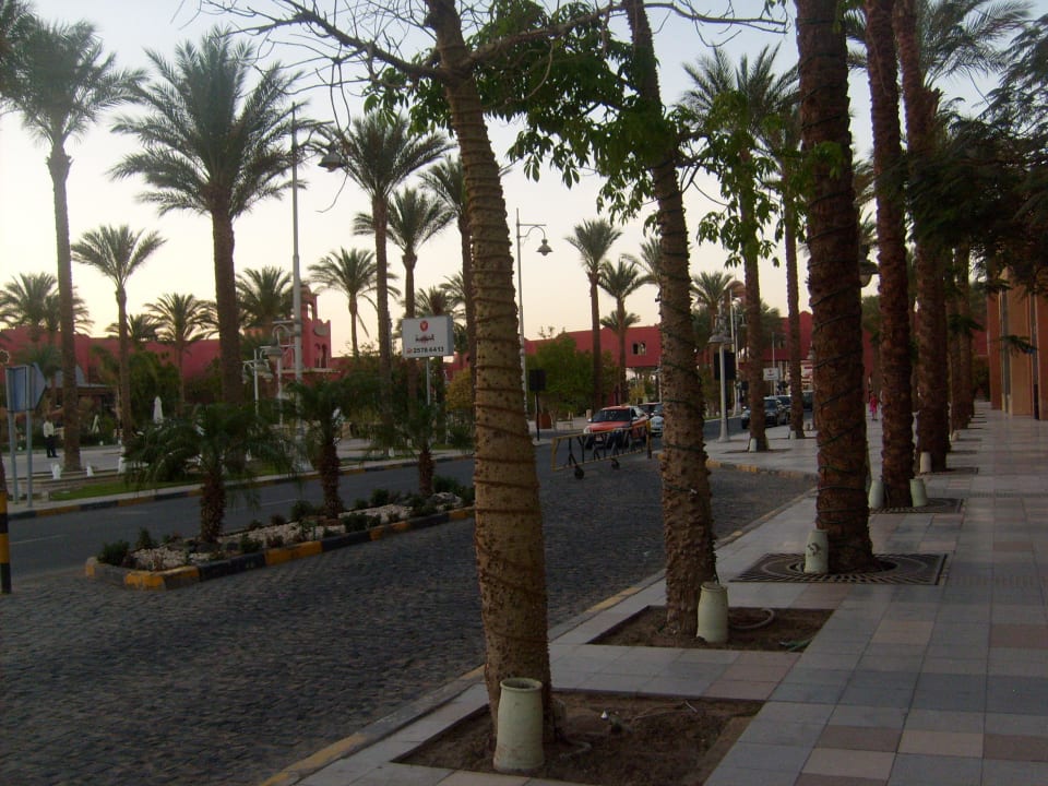 Straße vorm Hotel The Grand Hotel Hurghada