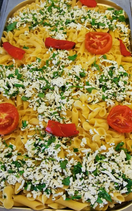 Gastro Clover Magic Nova Beach