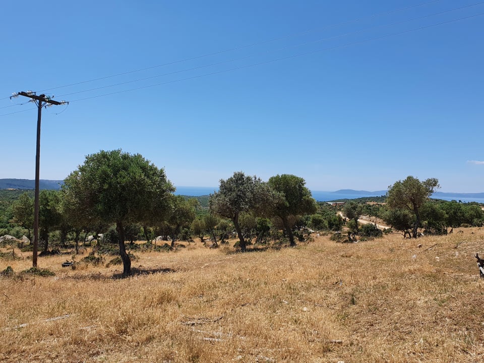 Ausblick Hotel Apollon