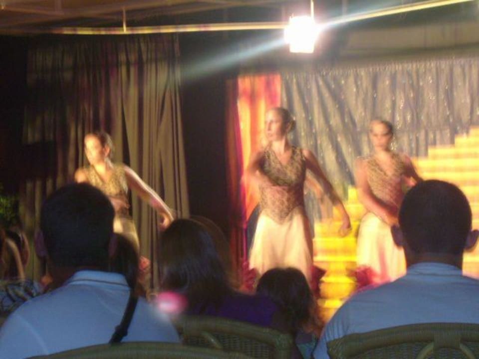 Nochmal die Animation Protur Palmeras Playa Aparthotel