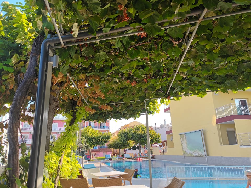 Pool Hotel Thalassies