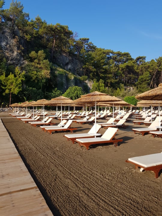 Strand TUI BLUE Seno - Adults Only