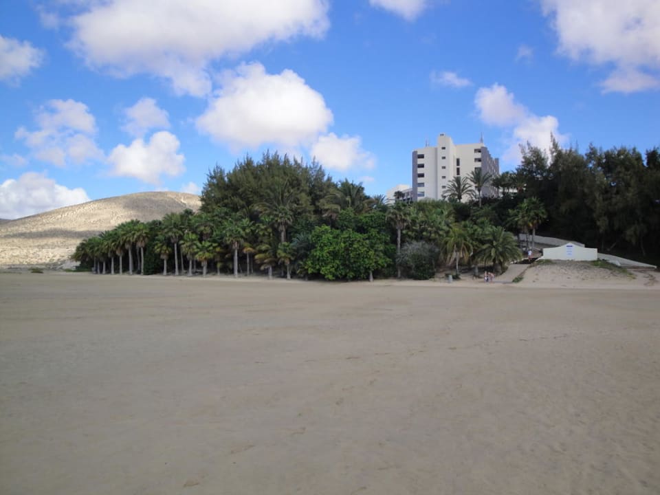 Lagune bei Ebbe Paradisus by Meliá Fuerteventura